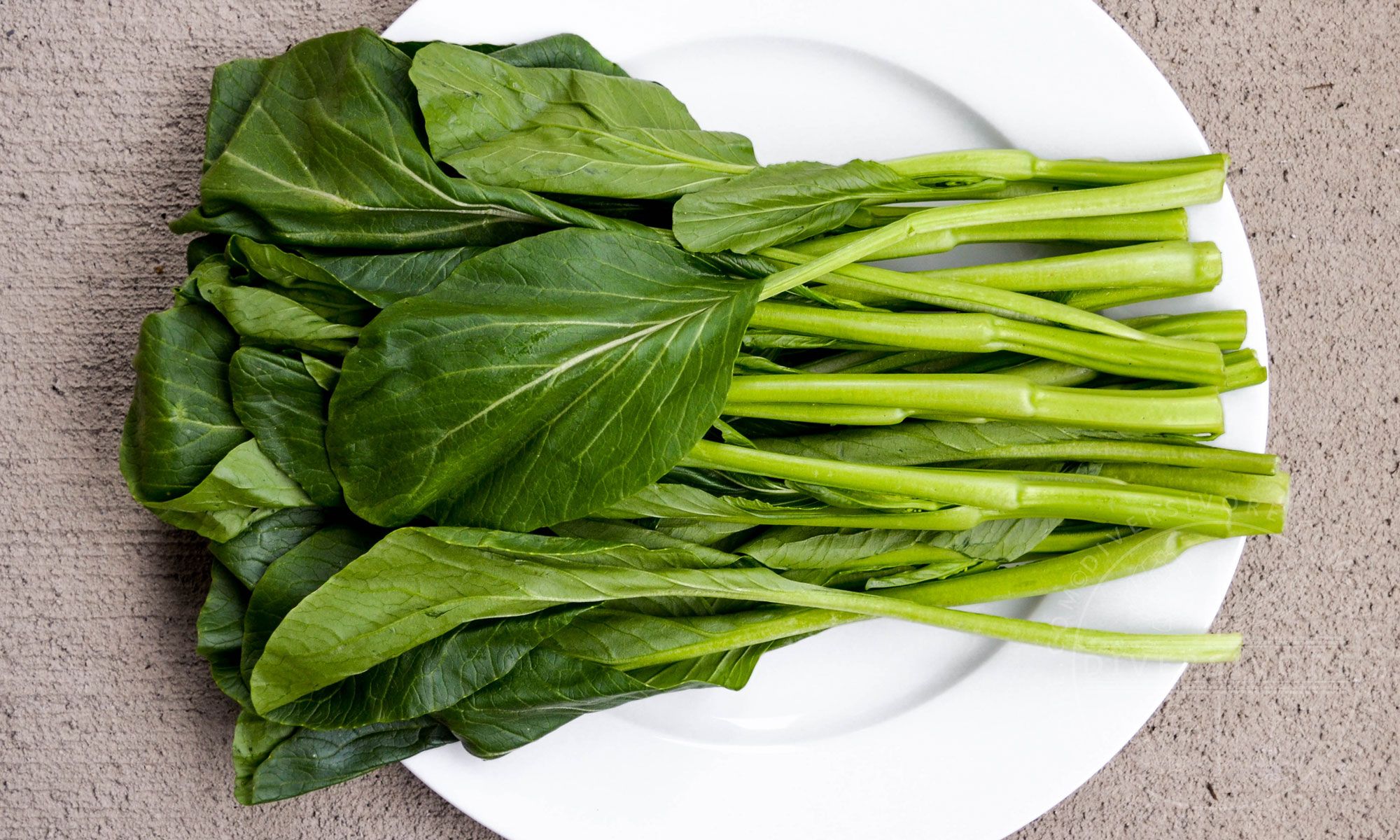 Choy Sum – www.farm-locally.com